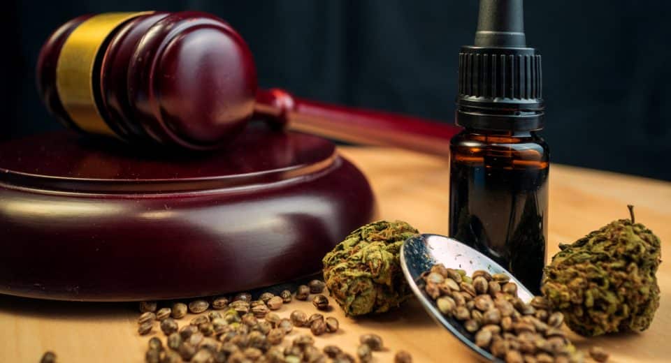 Revendeur de cbd : quelle provenance faut-il rechercher ?