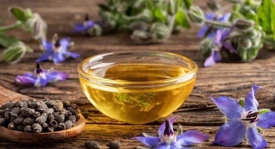 Comment bénéficier des propriétés de la bourrache ?