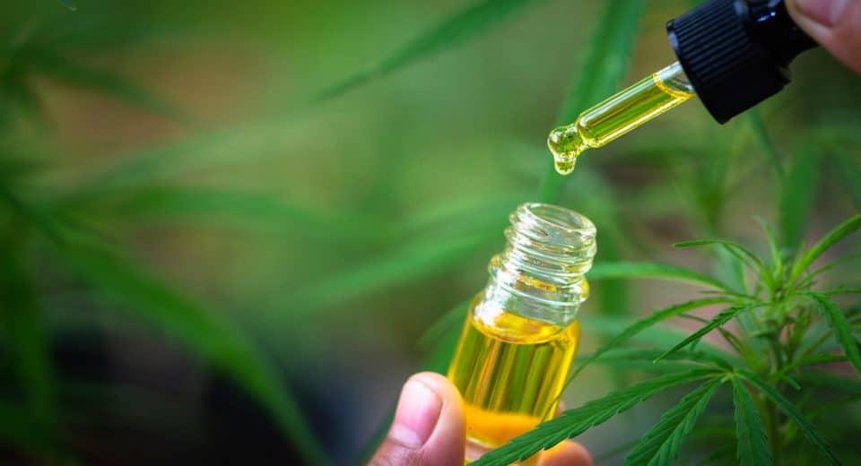 Comment s'utilisent les différentes huiles de cbd ?