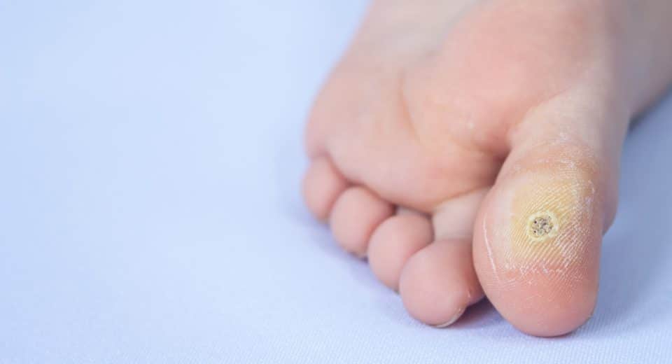 Ndjglxnjusjscyoscrzw jpeg