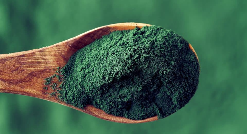 Durée idéale d’une cure de spiruline : combien de temps pour des résultats optimaux ?