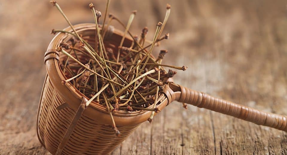 Combien de temps durer une cure de queue de cerise ? guide complet