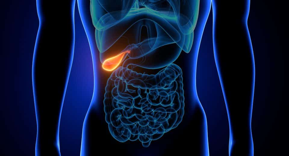 Durée de la douleur après ablation de la vésicule : témoignages forum